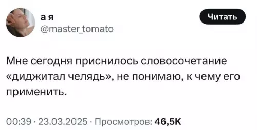 картинка