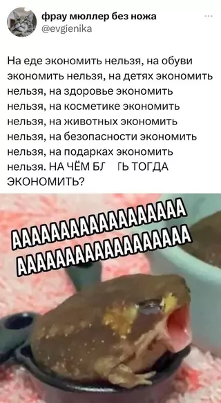 Смешная картинка №721199 Хороший вопрос