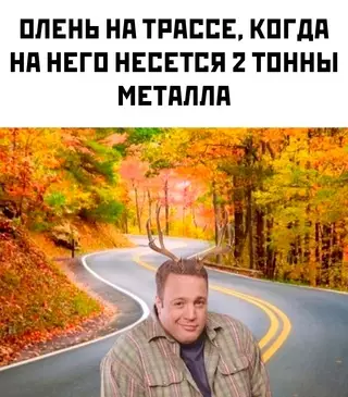 Смешная картинка №698657
