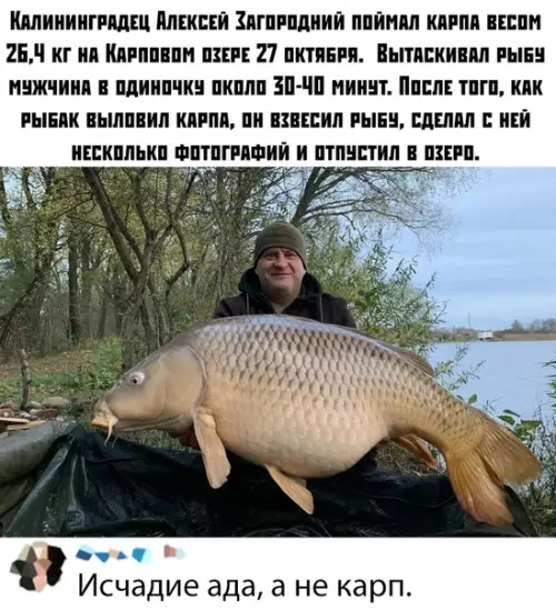 Смешная картинка №393045