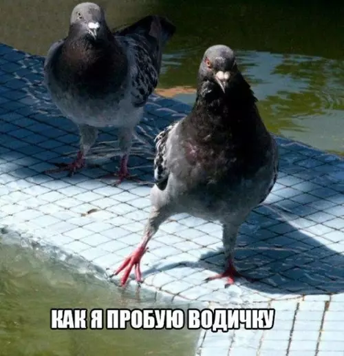 Смешная картинка №183660
