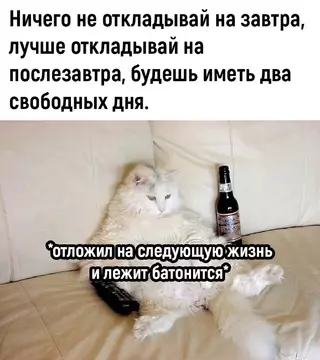 Смешная картинка №675324 Coвeт дня