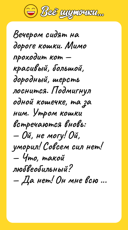 Вечером сидят на дороге кошки. Мимо проходит кот — красивый,