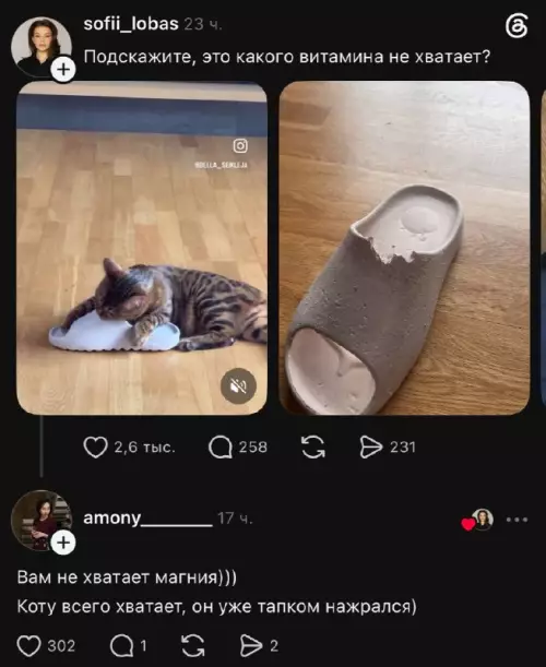 Кот-дегустатор и странный десерт 😼 - Подскажите, это какого витамина не хватает? Вам не хватает магния)))