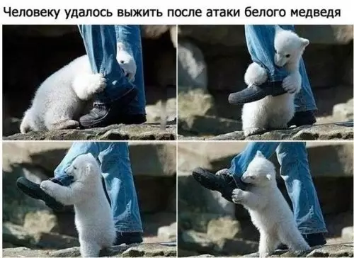 Смешная картинка №311829 Сенсация!?