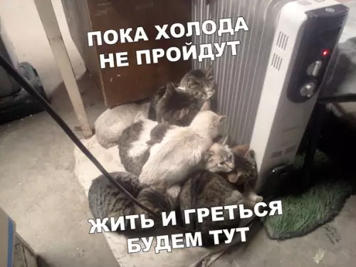 Смешная картинка №402174