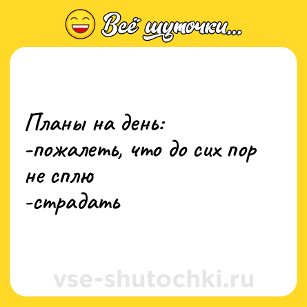 Шутка: Планы на день: <br>-пожалеть, что до сих пор не сплю <br>-страдать
