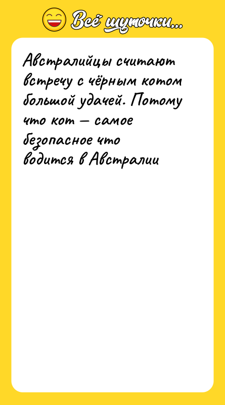 Австралийцы считают встречу с чёрным котом большой удачей. Потому что