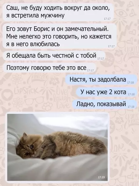 Смешная картинка №501035 Милота