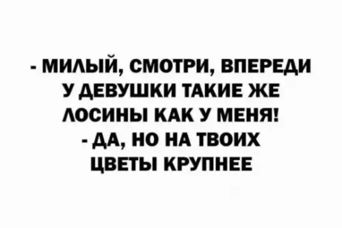 Юмор в мелочах - - милый, смотри, впереди у девушки такие же лосины как
