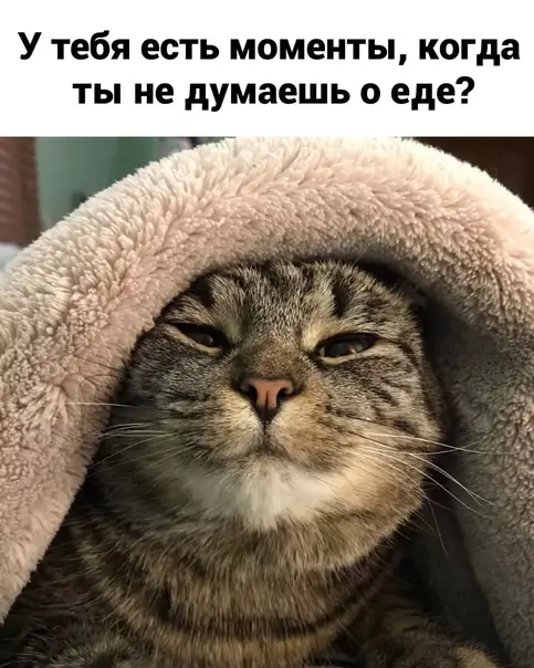 продолжение Смешная картинка №566561 Ecть?