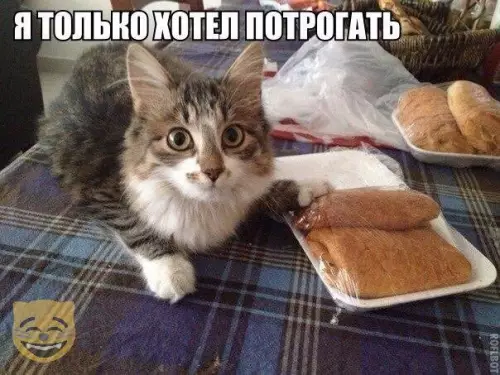 Смешная картинка №326669