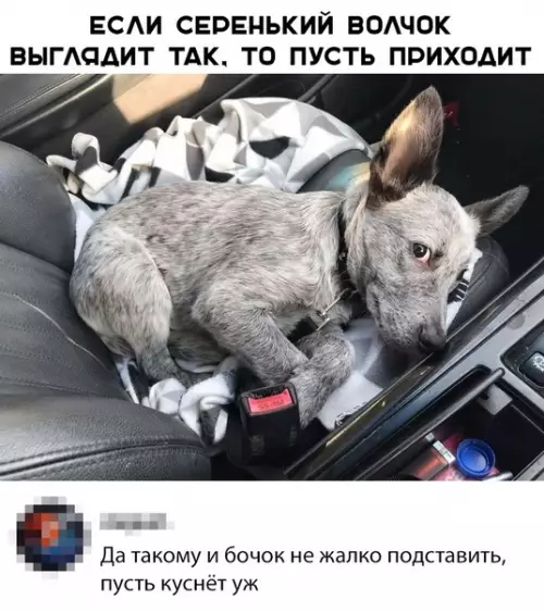 Смешная картинка №337218