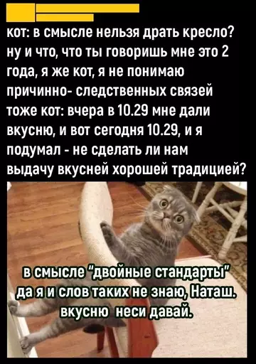 Смешная картинка №736406 Тут помню, тут не помню  Коты