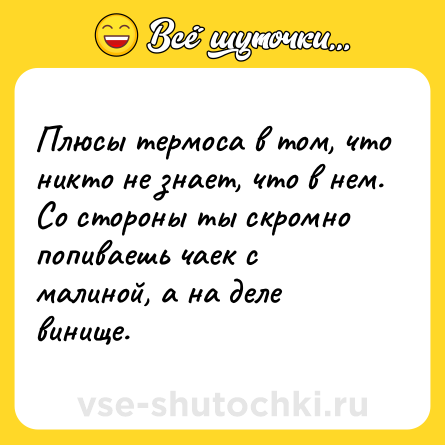 Шутка: Плюсы термоса в том, что никто не знает, что в нем.<br>Со стороны ты скромно попиваешь чаек с малиной, а на деле винище.