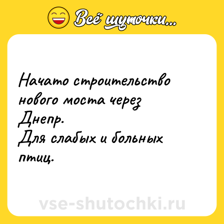 Шутка: Начато строительство нового моста через Днепр.<br>Для слабых и больных птиц.