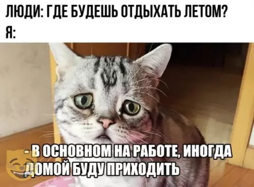 Смешная картинка №386442 #приколы #картинки #мемы ?