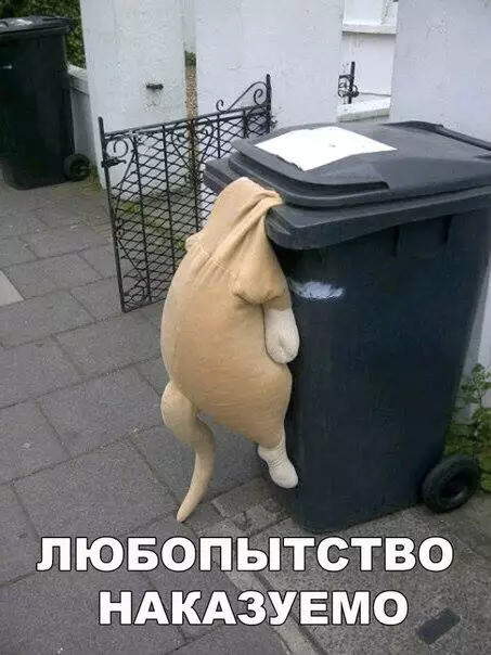 Смешная картинка №268917