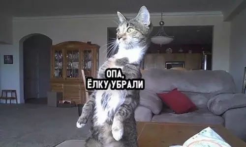 Смешная картинка №324350