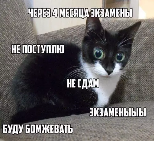 Смешная картинка №249437