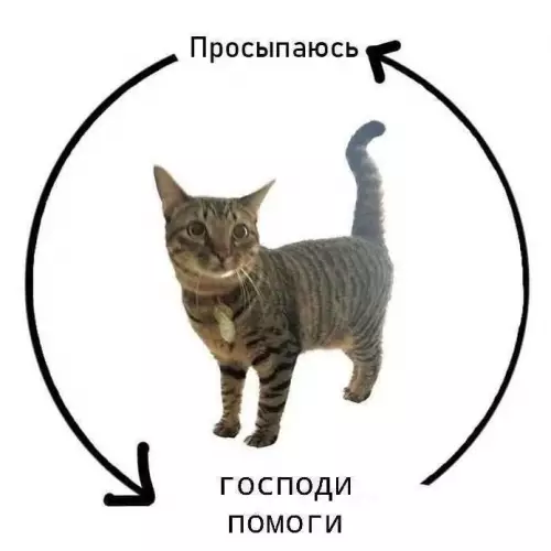 Смешная картинка №802519