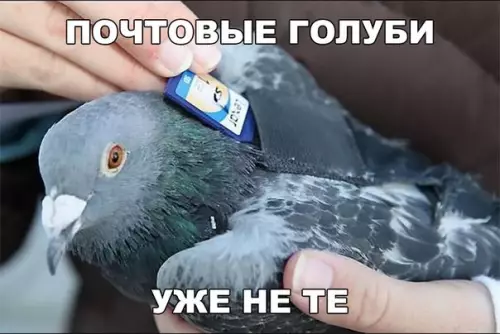 Смешная картинка №249483