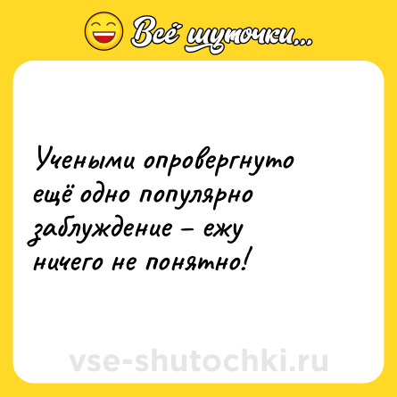 Шутка: Учеными опровергнуто ещё одно популярно заблуждение – ежу ничего не понятно!