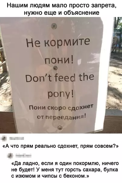 Смешная картинка №510627 Не кормите пони! 
Пони двинет кони!