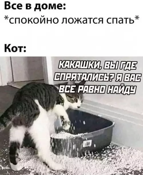 Смешная картинка №774415