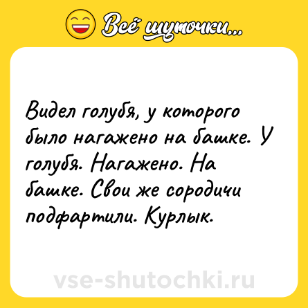 Шутка: Видел голyбя, у которого было нагажено на башке. У голубя. Нагажено. На башке. Свои же сородичи подфартили. Кyрлык.