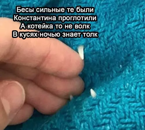 продолжение Смешная картинка №615546 Kycaтeльнaя литepaтypa