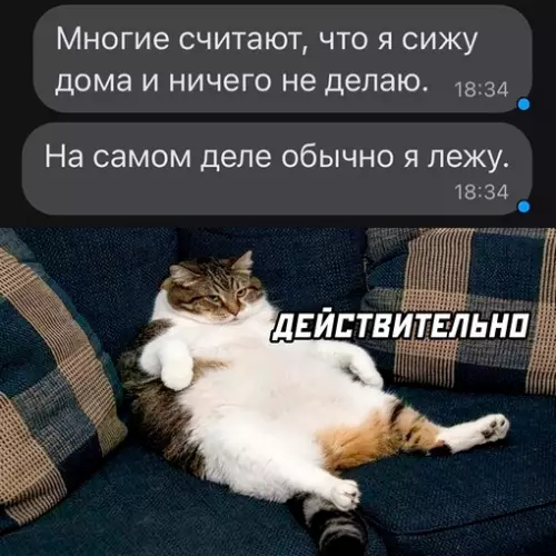 Смешная картинка №672156