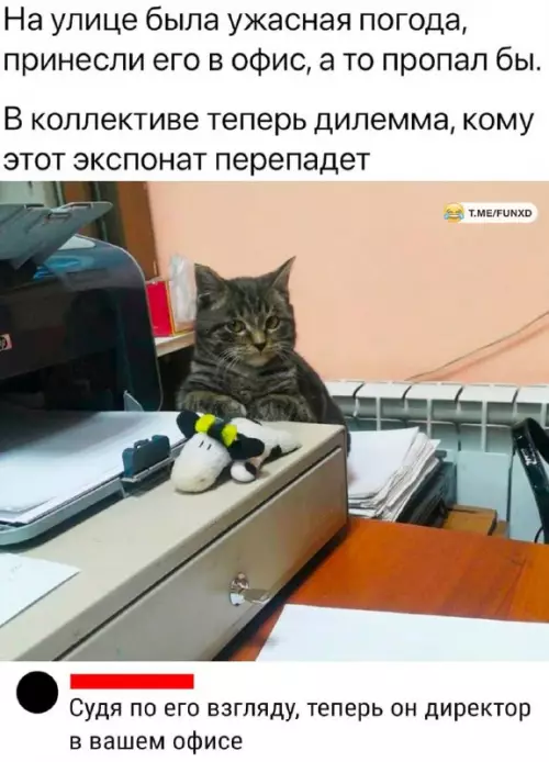 Смешная картинка №688306