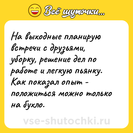 Шутка: На выходные планирую встречи с друзьями, уборку, решение дел по работе и легкую пьянку. Как показал опыт - положиться можно только на бухло.