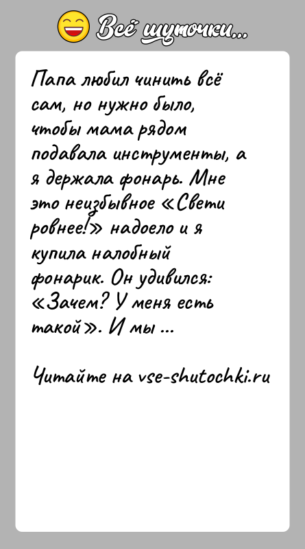 История: Папа любил чинить всё сам, но нужно было, чтобы мама рядом подавала инструменты, а я держала фонарь. Мне это неизбывное