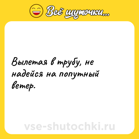 Шутка: Вылетая в трубу, не надейся на попутный ветер.