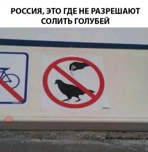 Смешная картинка №292720