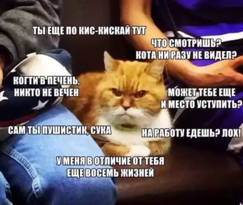 Смешная картинка №210579