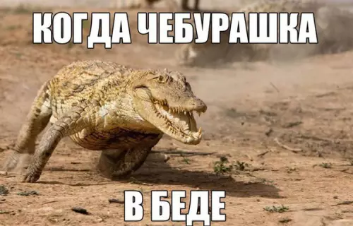 Смешная картинка №203647