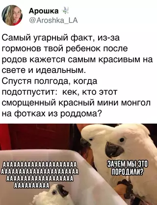 Смешная картинка №706651