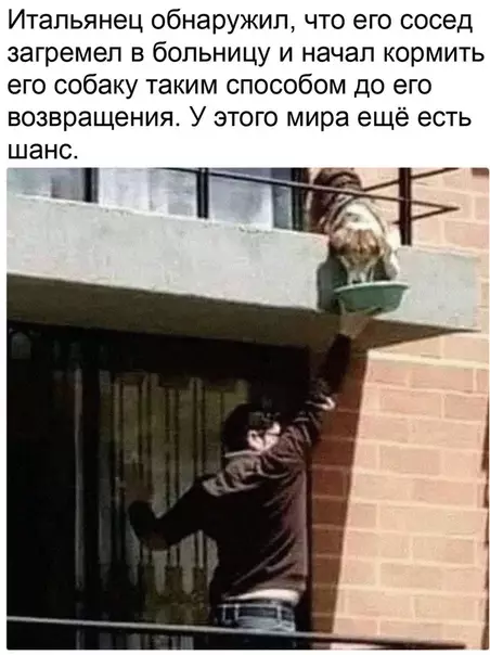 Смешная картинка №482544 Добрa пocт