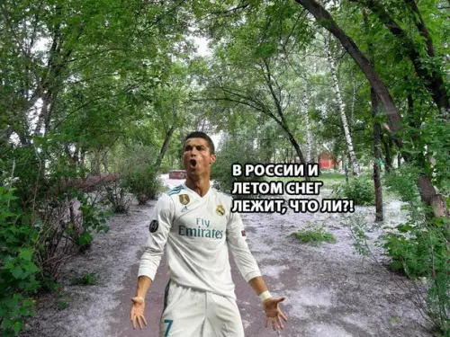 Смешная картинка №281825