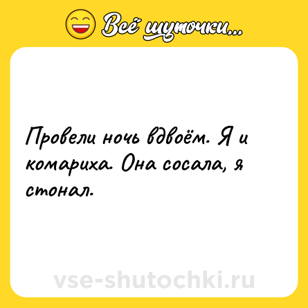 Шутка: Провели ночь вдвоём. Я и комариха. Она сосала, я стонал.