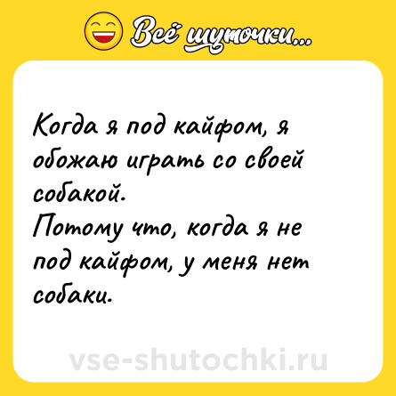 Шутка: Когда я под кайфом, я обожаю играть со своей собакой. <br>Потому что, когда я не под кайфом, у меня нет собаки.