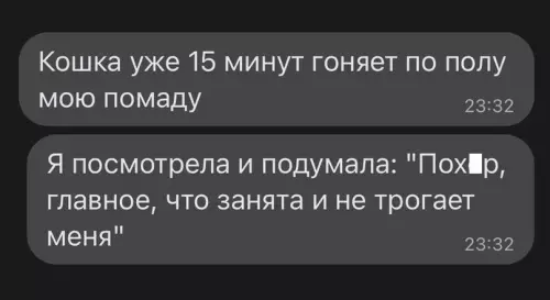 Смешная картинка №688190 Taк и cтaновятся мaтepями
