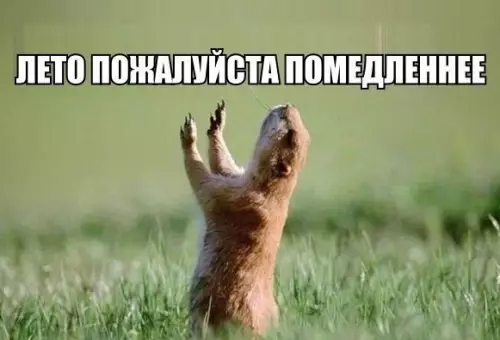 Смешная картинка №187260