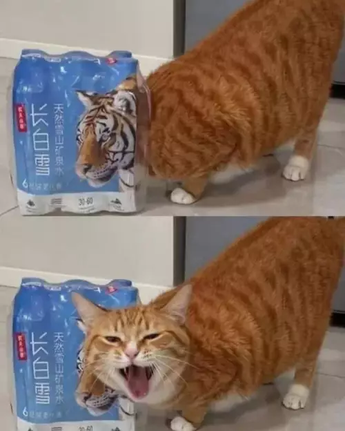 Смешная картинка №798156