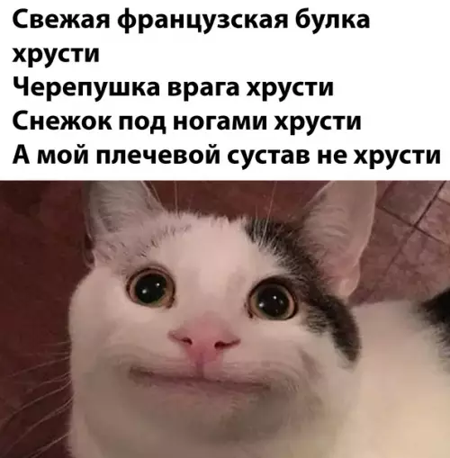 Смешная картинка №625036