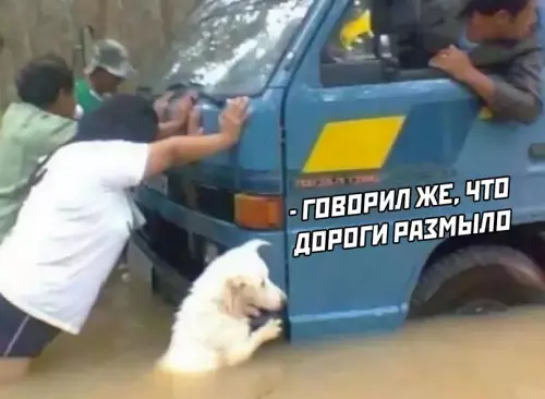 Смешная картинка №616741
