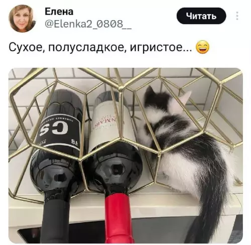 Смешная картинка №707867